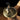 O´Donnell Moonshine Macadamia - bester Likör made in Germany - Macadamia - O´Donnell Moonshine |  O´Donnell Moonshine - exklusiv und hochwertig | SmacoGlas