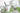 KAHLA Five Senses Wildblume Kombiservice 16tlg. Wildblume 7