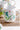 KAHLA Update Moon Meadow Kombiservice 16tlg. Moon Meadow tasse action