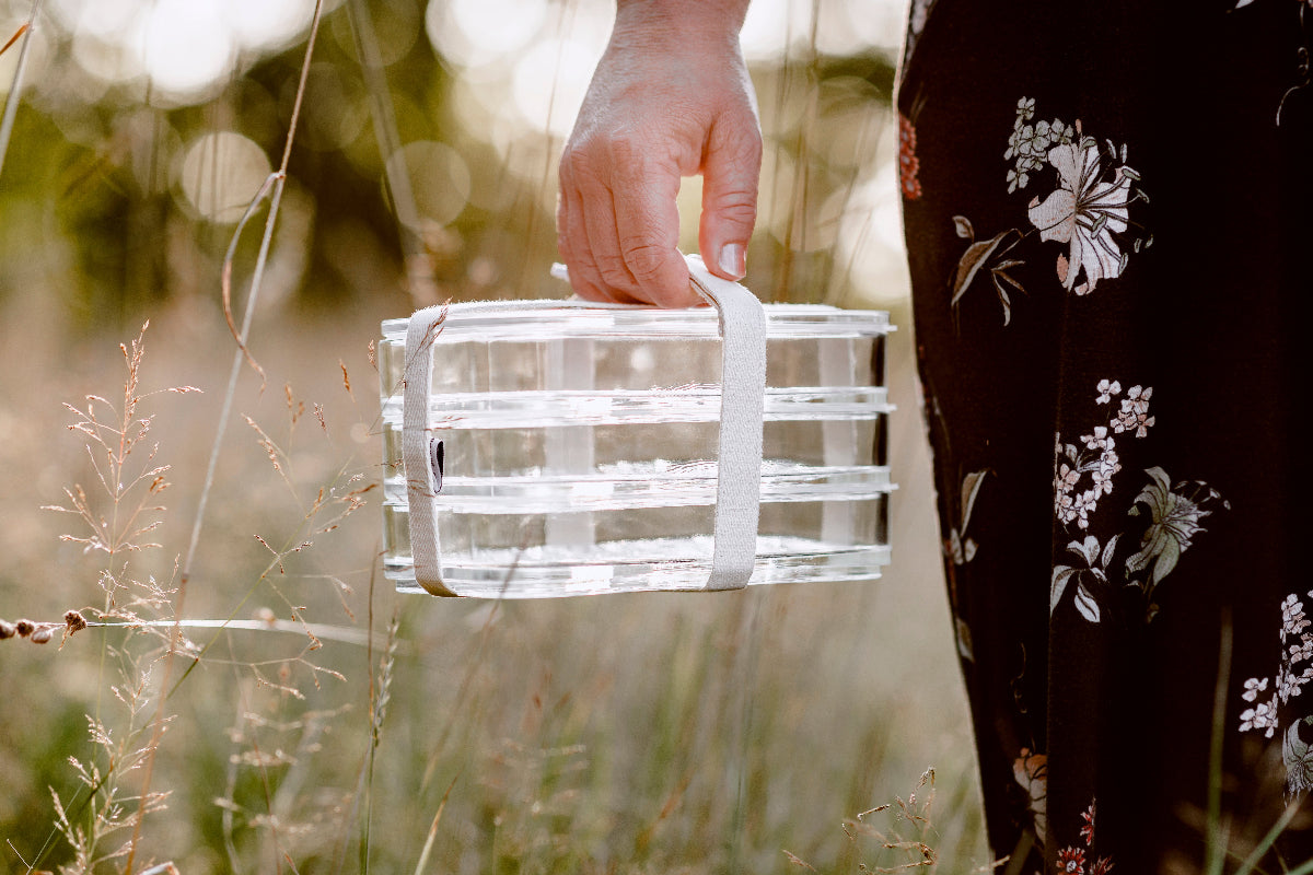 Aufschnittbox stapelbar aus Glas für Wurst und Käse
