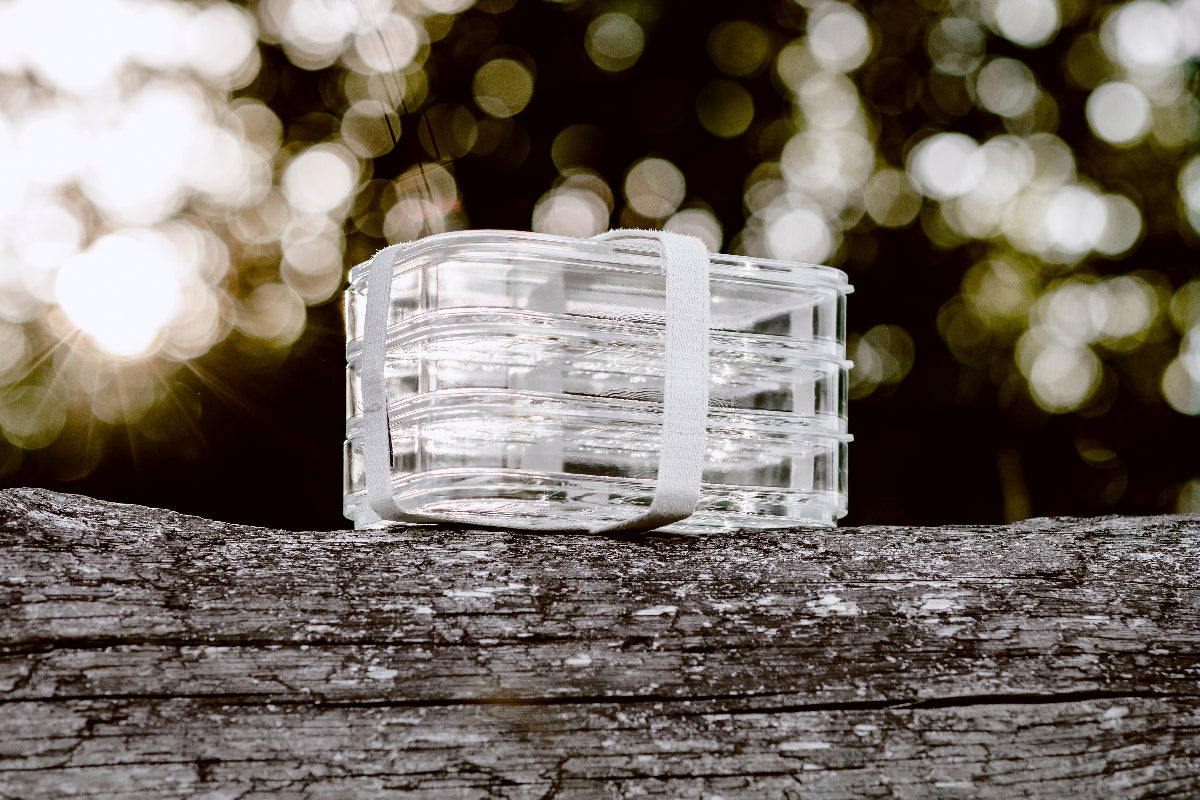 Aufschnittbox zum Einkaufen und Brotdose Bento mit Trennung aus Glas