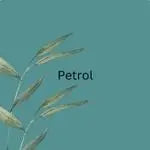 SmacoGlas Dichtung in Petrol